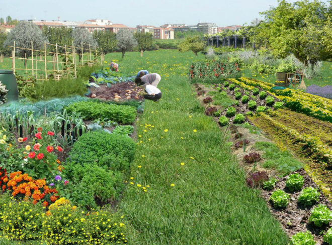 Ambiente e verde4