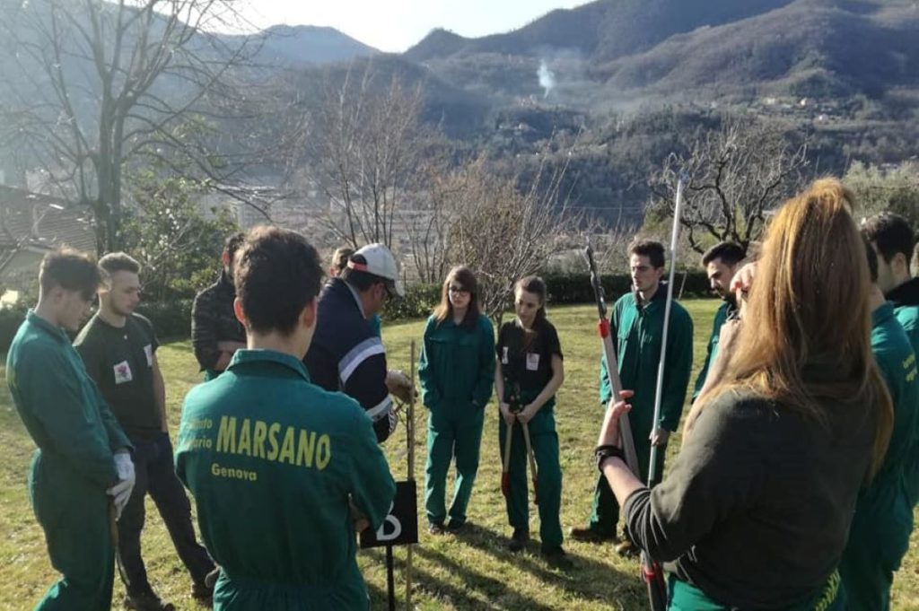 marsano ragazzi tuta verde
