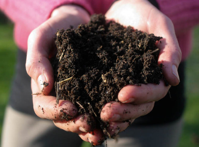 soil 2 1