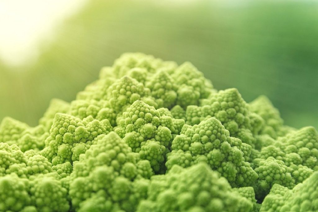 vegan