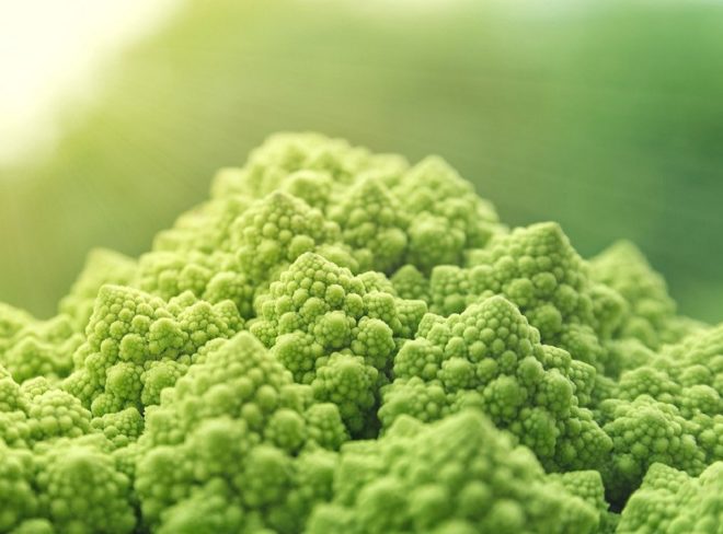 vegan