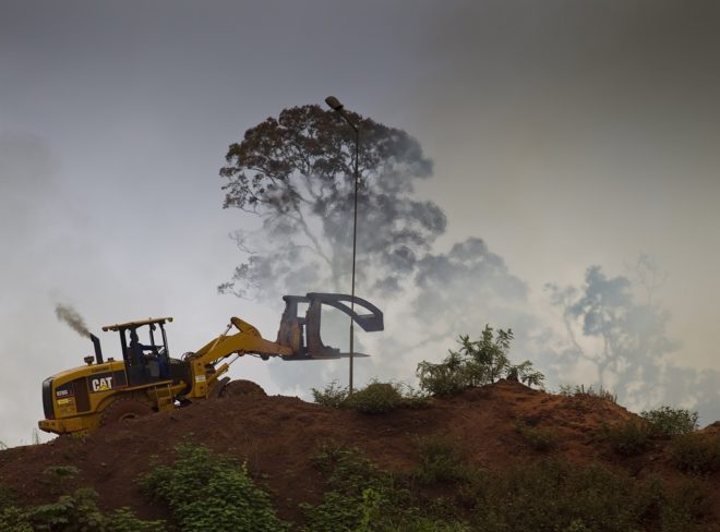 © Brent Stirton Getty Images WWF UK Original WW141213