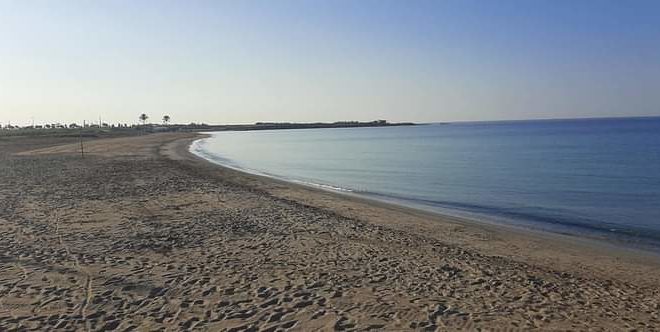 IMG 20200908 WA0001