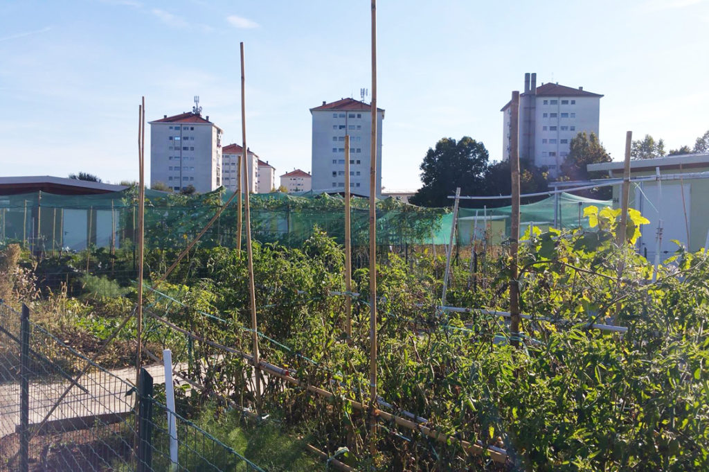 Parco dei laghetti4