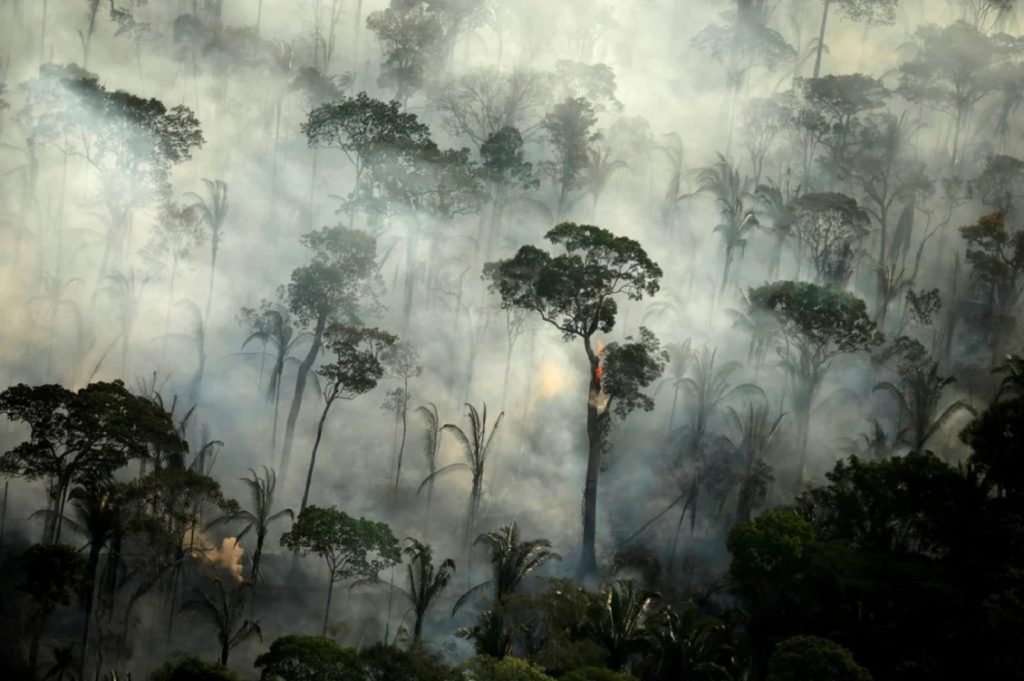 amazzonia
