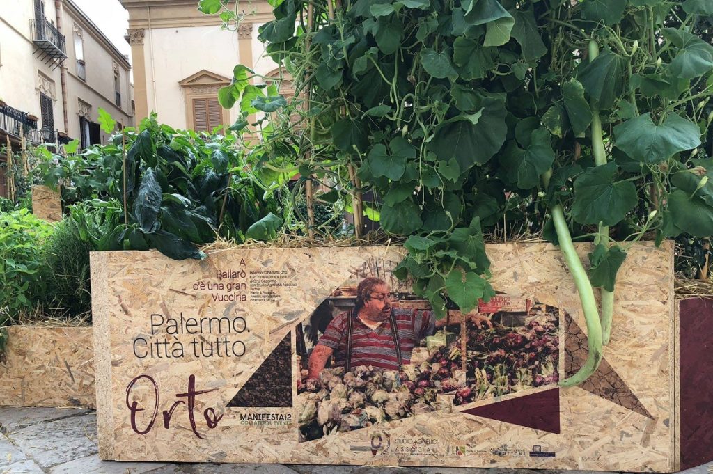orto capovolto 3