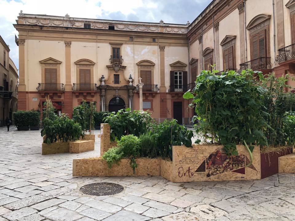 orto03