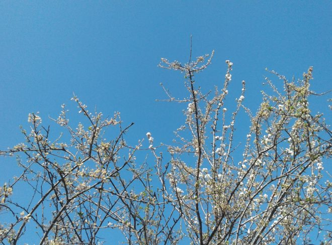 20190324 143158