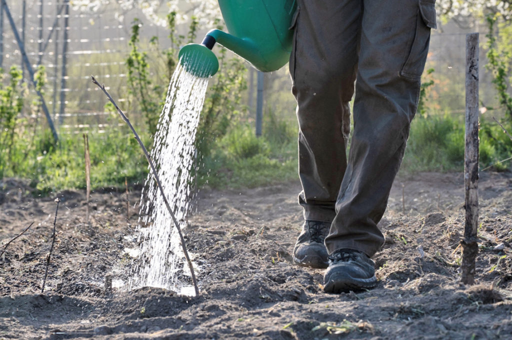 Azienda Monte Agri Bio2