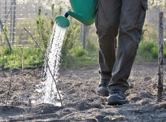 Azienda Monte Agri Bio2