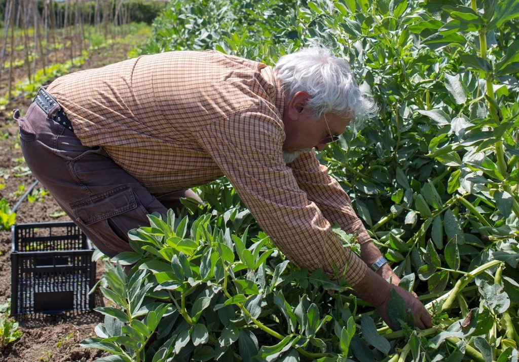 Della Terra contadinanza 4