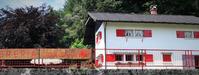 Libreria Spalavera7