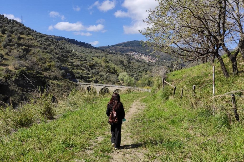calabria che cambia 2