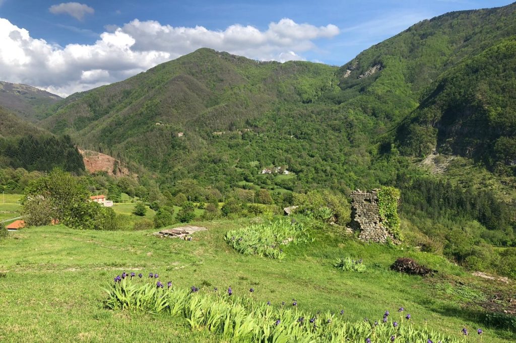 cooperativa di comunita lunigiana 1