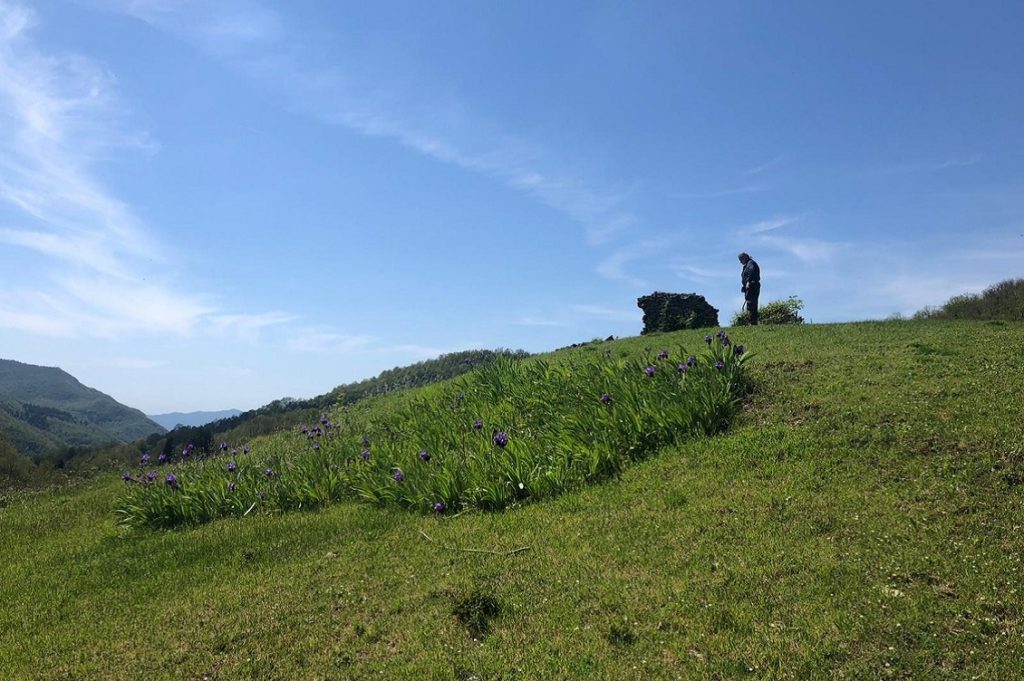 cooperativa di comunita lunigiana 2