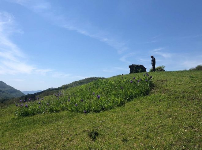 cooperativa di comunita lunigiana 2