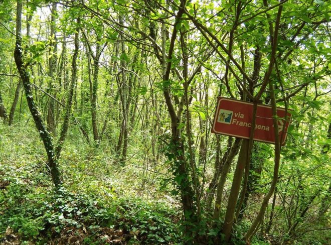 fondo forestale italiano 2