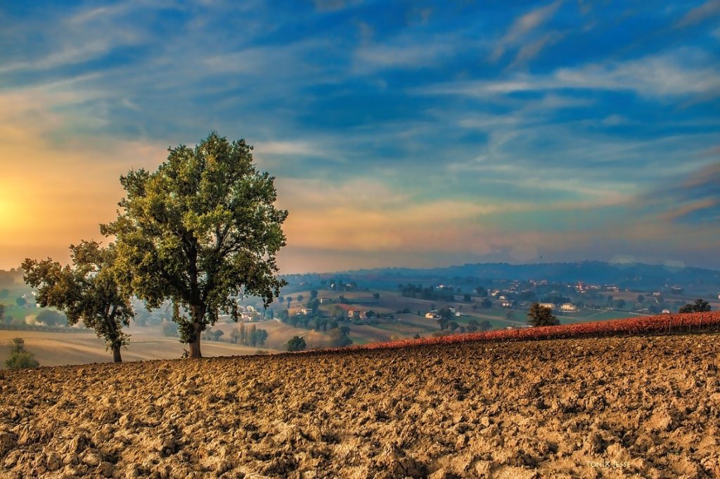 trasferirsi in campagna 2