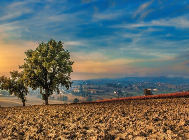 trasferirsi in campagna 2