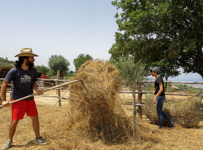 Avamposto Agricolo Autonomo 1