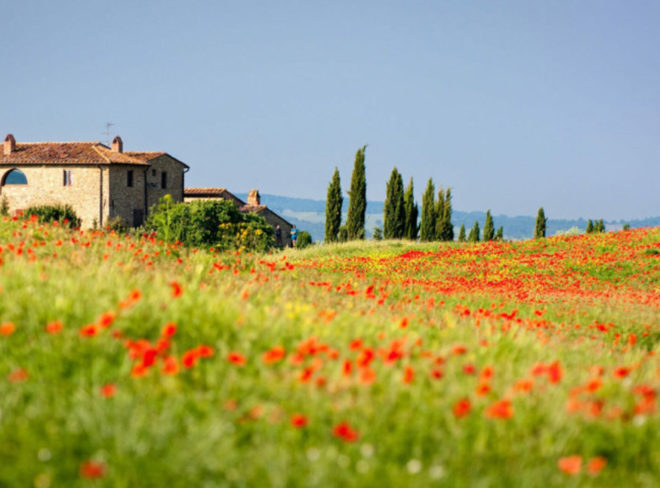 CasaInCampagna 7