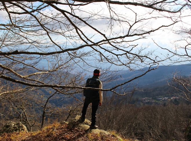 discovering reventino ant