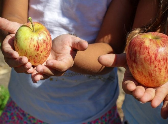 educazione alimentare bambini scuola