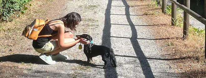 Borghi Dog7