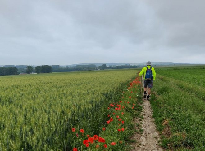 radio francigena 1