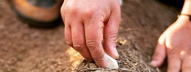 Badolato Permaculture