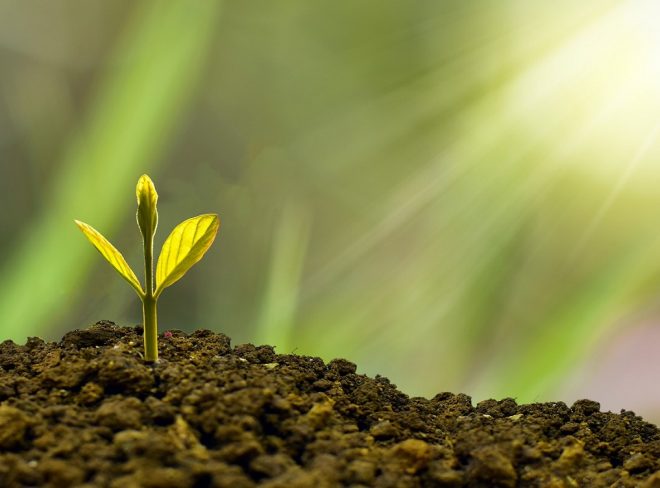green economy 1
