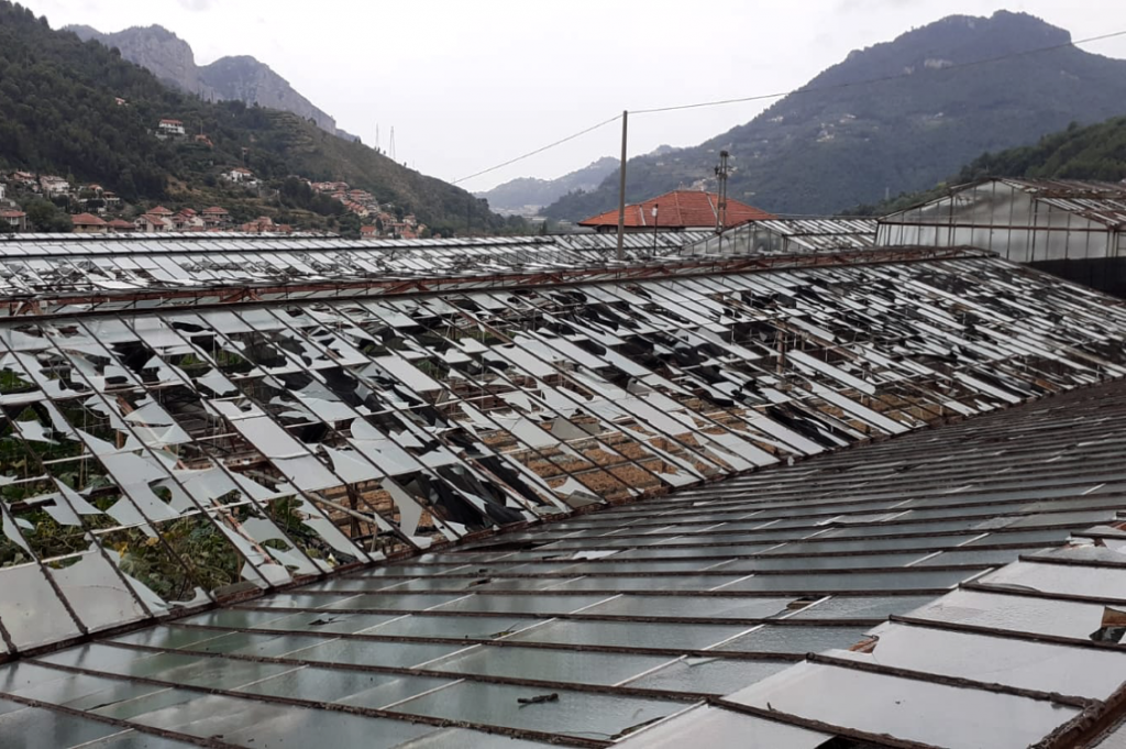 vetri rotti serre ecovillaggio torri superiore