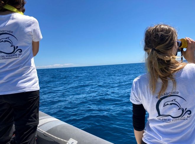 Delfini del ponente gommone