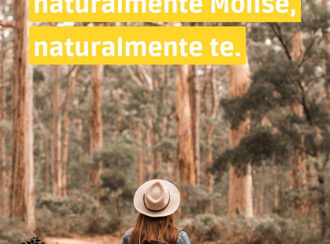 Storia presentazione NM