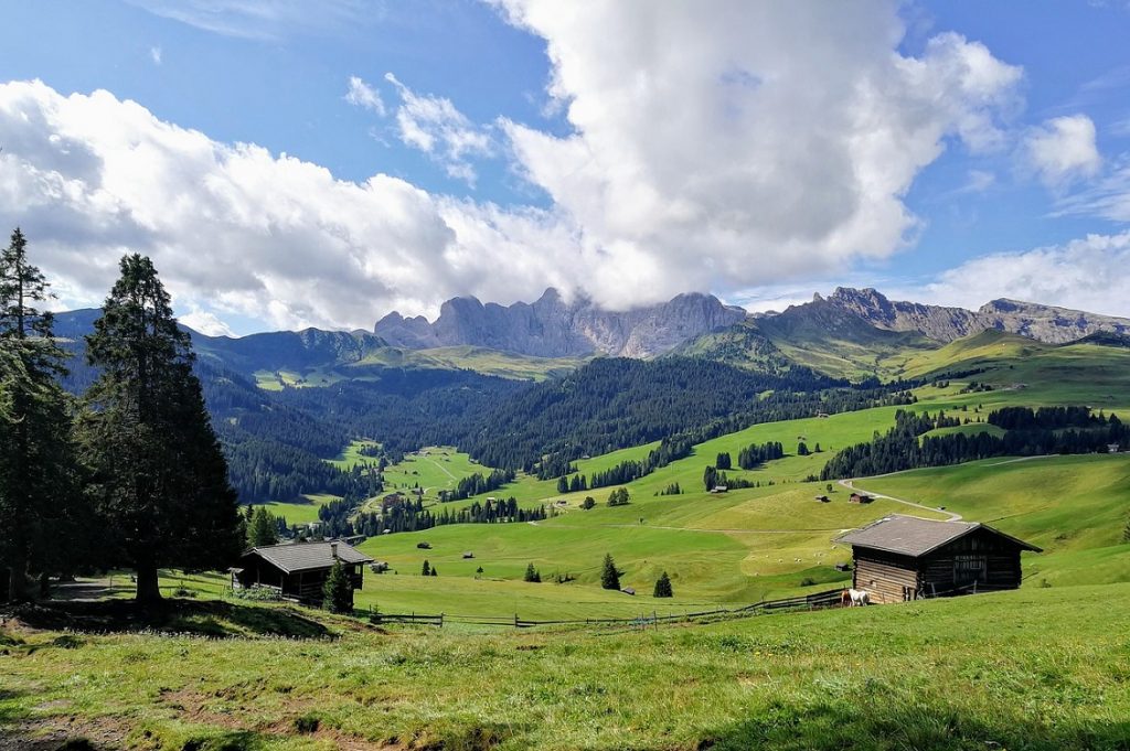 biodistretto trentino