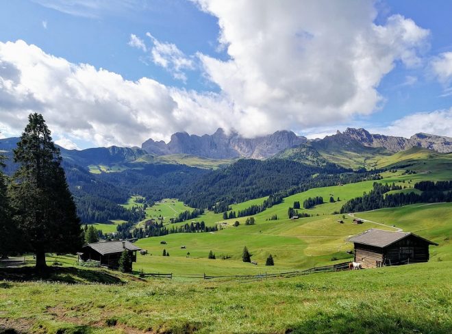 biodistretto trentino