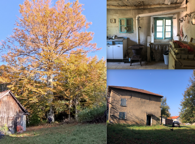 Schermata 2021 10 30 alle 14.42.06