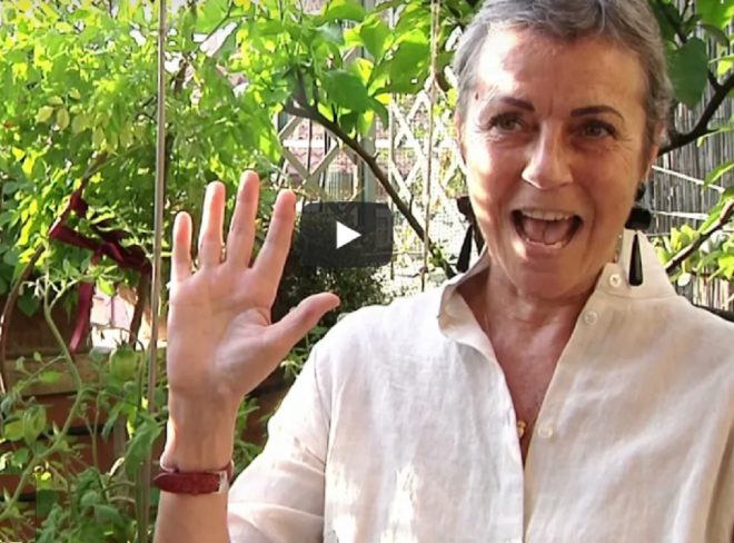 alida mazzaro ant