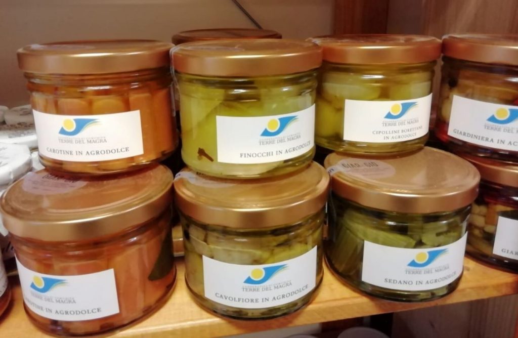 conserve terre del magra cavolfiore