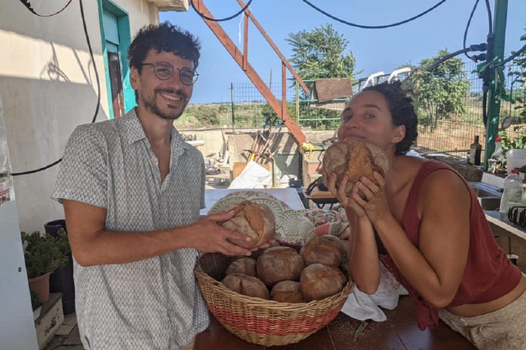 permacultura sicilia 2