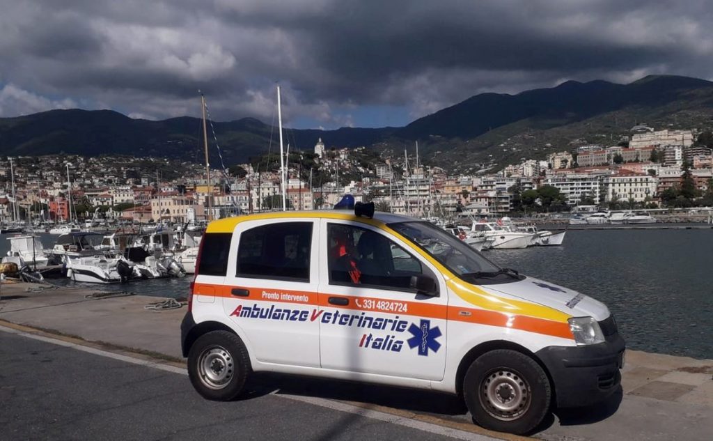servizio Ambulanze veterinarie Sanremo