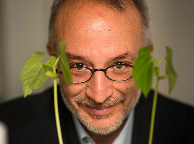stefano mancuso piantare alberi