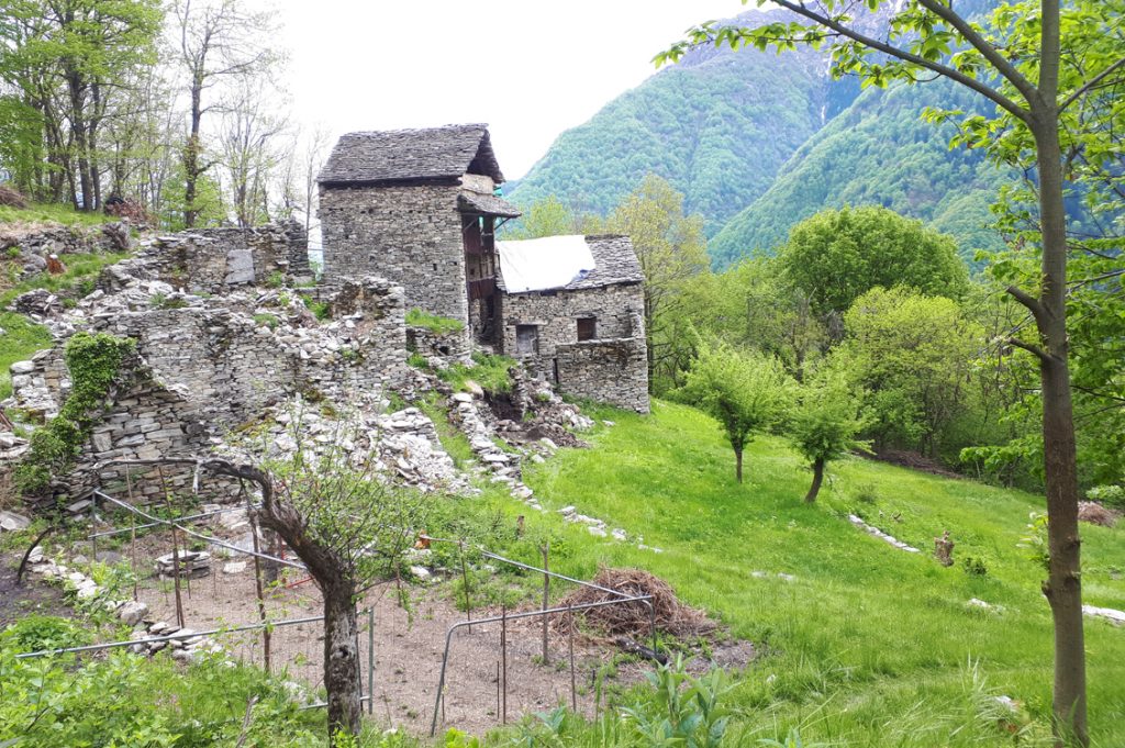 Borgata Coletta