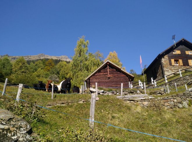 IMG 20211015 WA0013 2