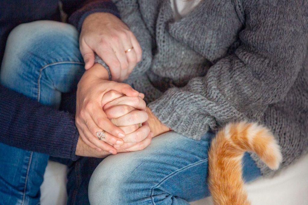 Meraki gatto amore