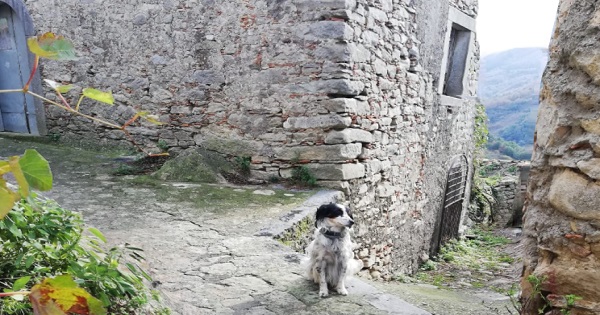 borgo 2 1