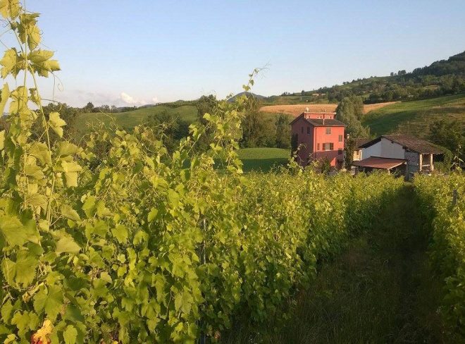 colline piacentine