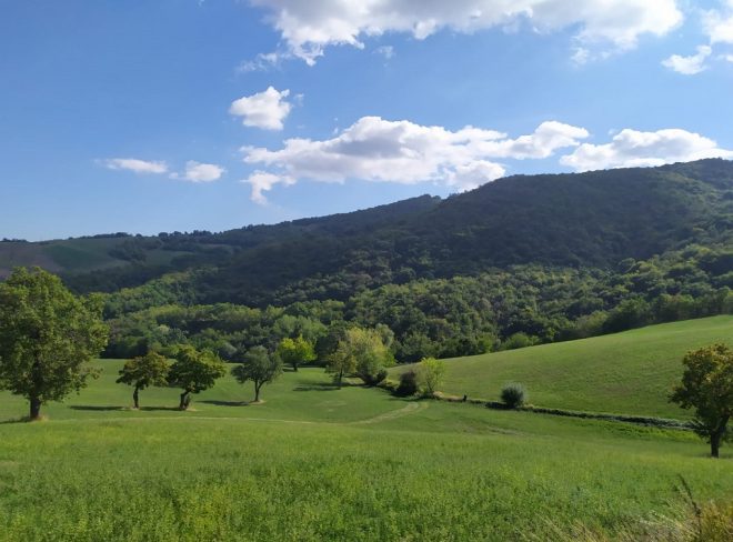food forest copertina