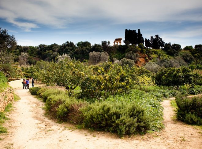 giardino della kolymbethra 2