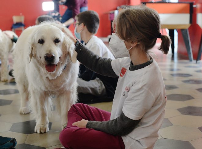 Dog Therapy1